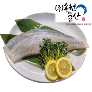 완도광어3kg 통영우럭800g필렛 당일작업 (순살250g 500g)스킨포장 소스증정(옵션2구매시 우럭매운탕재료무료제공), 1개, 옵션1