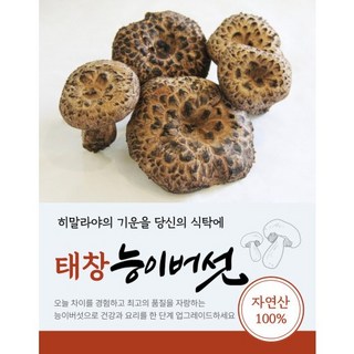 태창 자연산 냉동능이버섯 특 A급 [원산지:티벳], 1박스, 1Kg