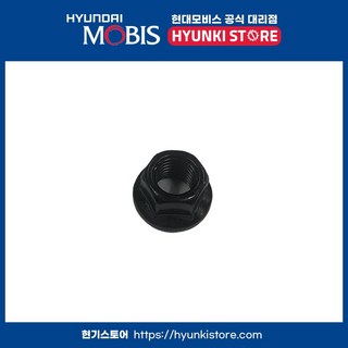 너트 (1338610007K) 이미지