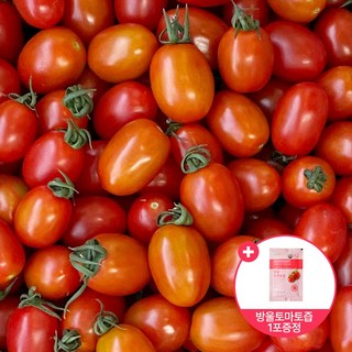 [베리카인드] 국내산 대추방울토마토 5kg 대용량 (사은품증정), 1박스, 5kg (3과, 중간사이즈) 체리토마토