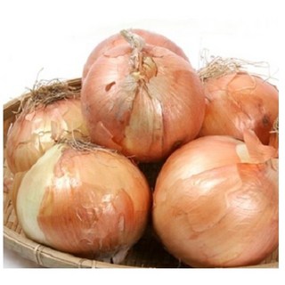 아빠의 마음 국내산 양파 3kg 5kg 10kg, 10kg(특품), 1개