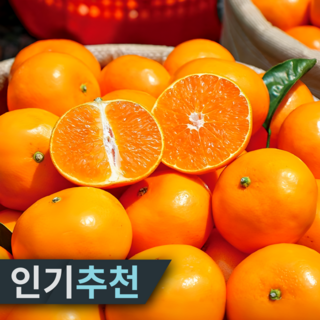 [3월마지막물량] 시즌종료행사 15brix고당도 달콤한 천혜향, 1개, 3kg 로얄혼합(10-15과내외)
