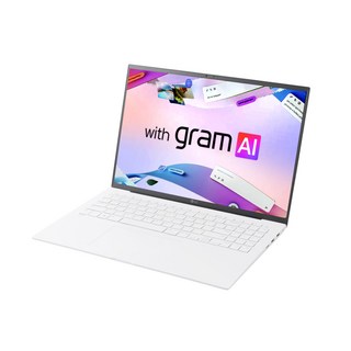 3. LG 정품 그램..