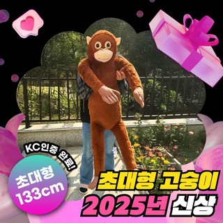도리스돌 구체관절인형 45cm 다이애나, 1개 그림구체관절인형 12 구쯔야 초대형 고숭이 자이언트 오랑우탄인형 대형 애착인형 133cm, 오랑이_133cm_인형, 1개