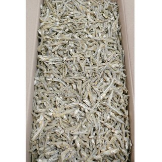 가락시장521 고가이리 멸치 1.5kg 볶음용 조림용 업소용 대용량 (4~6cm), 1개
