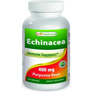 Best Natural 에키네시아 롤든씰 비타민 400mg 250캡슐, 1개, 250정