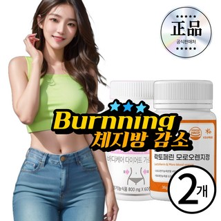 4. 체지방 감소 지..
