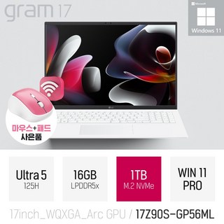 LG 그램17 17Z90S-GP56ML, 16GB 램으로 쾌적한 작업 환경 만들기