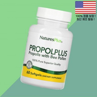 네이처스플러스 프로폴리스 꿀 허니 위드벌 꽃파우더 가루 분말 60 소프트젤 캡슐 NaturesPlus Propolplus Propolis Bee Pollen Softgels