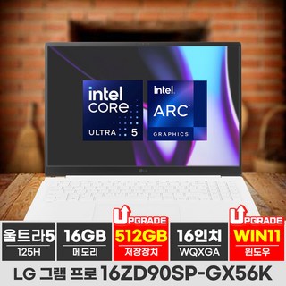 LG그램 프로 17ZD90SP-GX56K
