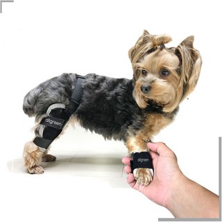 닥터바우 강아지 앞다리 보호대