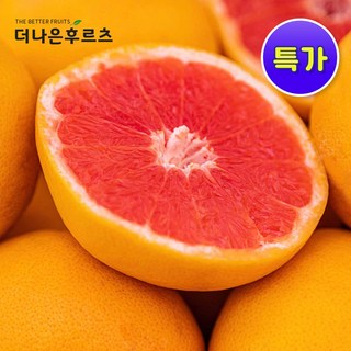 특품 신선 남아공 레드 자몽 생과, 1개, 3kg 내외(8~10입)