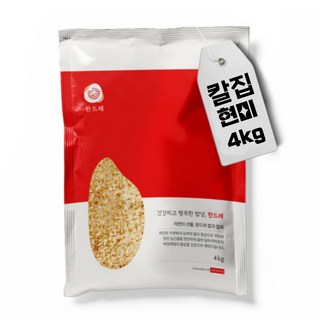발효현미