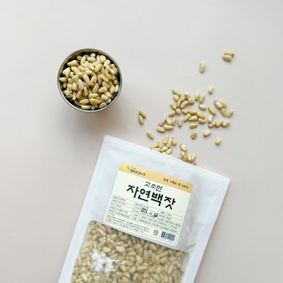 수입잣 백잣 햇잣 가평잣 햇잣(신선배송), 1개, 500g