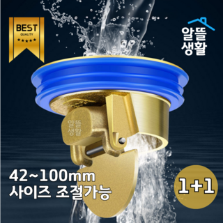 알뜰생활 하수구 트랩 벌레 냄새 악취 차단, 2개