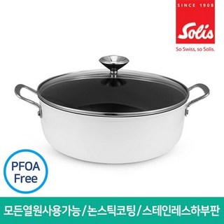 2. 솔리스 인덕션 ..