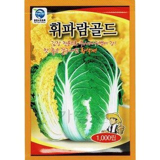 휘파람 골드 배추 씨앗 채소 종자 가을 김장 1000알, 1개