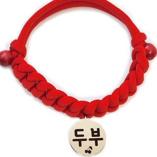 펫츠룩 가볍고예쁜 강아지 고양이 인식표 목걸이, 08데일리레드, 1개