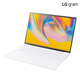 3. LG전자 그램 ..