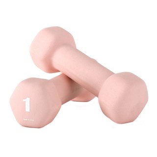 아리프 네오프렌 선인장 아령, 1kg, 2개