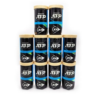 던롭 ATP 테니스공