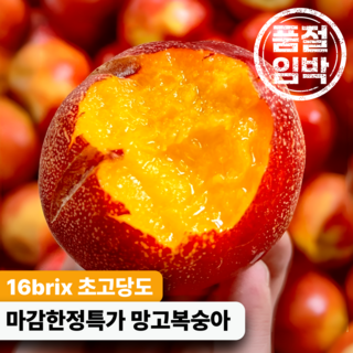 [마감한정특가] 16brix 비법재배 초고당도 망고복숭아, 1박스, (특)로얄과 1kg