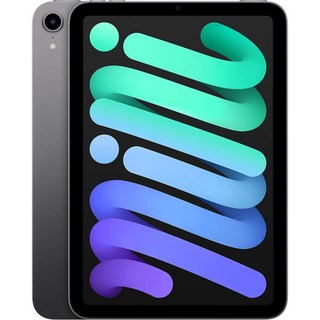 애플 아이패드 미니 6세대 WIFI 64GB, 핑크, 포함