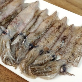통찜용 총알한치
