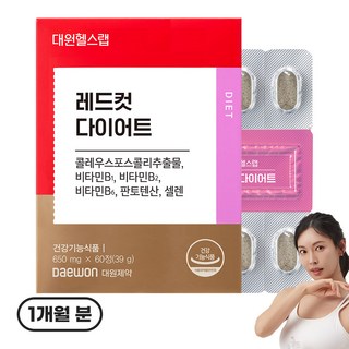 다이어트보조식품