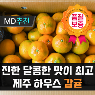 [3일간초특가행사] 프리미엄 제주 하우스 감귤 달콤 상큼 과즙 폭탄!, 1박스, 하우스감귤 가정용 10kg 꼬마소과(실9)