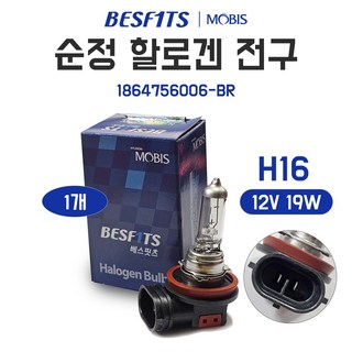 H16 할로겐 전구