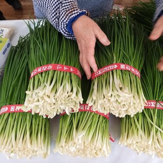 농가직송 하우스 재배 예천쪽파 1kg 당일수확 당일배송 깐쪽파 손질쪽파 한밭농산, 깐쪽파 1kg × 1kg × 1개, 1개