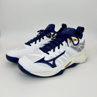 미즈노 웨이브디멘션