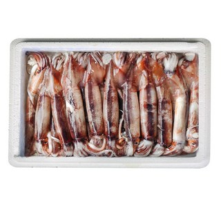 그대의밥상 국산 서해 생물 오징어, 2kg (8~10미), 1개