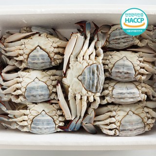 [연평도] 국내산 특품 급냉 암꽃게, 1개, 1kg (3-5미)
