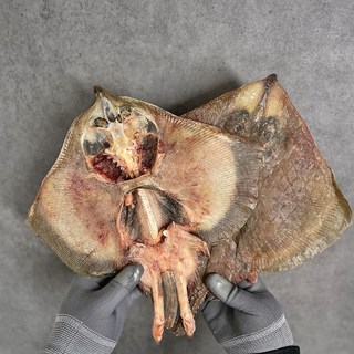 국산 남해안 손질 반건조 간재미 손질가오리 제철 30cm내외해풍건조 찜용, 1세트, 2미