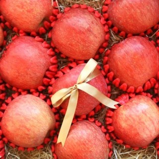 [안동 꿀사과] 정성담은 명품 프리미엄 홍로 사과 선물세트 (3kg)