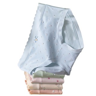 여성 순면 팬티5장 세트 H-4