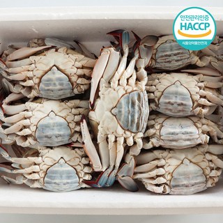 [연평도] 국내산 특품 급냉 암꽃게, 1개, 2kg (6-10미)
