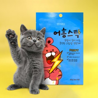 반려곳간 짜먹는 츄르 고양이간식 100스틱 영양제 대용량 선물포장, 10g, 40개, 참치