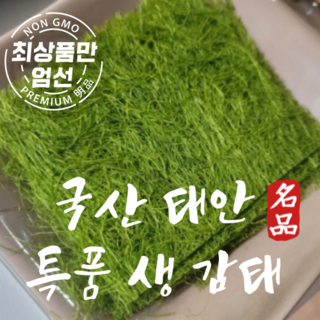 비비고 감태김 12p, 48g, 1개 10 국산 서산 태안바다 생감태 10매, 1개