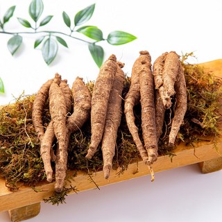 [미식한가] 향이진한 제주 흙더덕 (실속형) 뿌리채소, 1박스, 1kg(실속형)