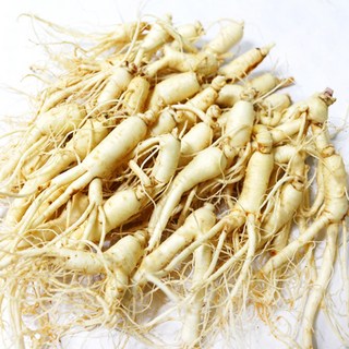 금산 후금이네 가정용 햇 수삼 세척인삼 (300g) 12-19편, 300g, 1개