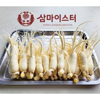 금산인삼장인 삼마이스터 세척인삼 5년근 6년근 수삼 파삼 난발삼소 500g (세척 안함, 1세트) 풍기수삼 금산인삼장인 삼마이스터 세척인삼 5년근 6년근 수삼 파삼 난발삼소 500g (세척 안함, 1세트) 풍기수삼