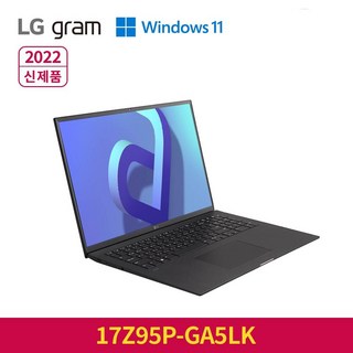 LG전자 2022 그램 17 코어i5 인텔 11세대, 옵시디안 블랙, 256GB, 16GB, WIN11 Home, 17Z95P-GA5LK