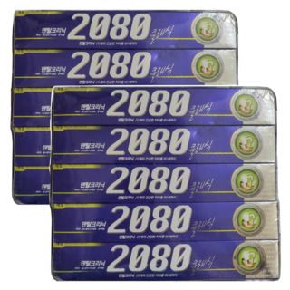 2080 클래식 치약, 170g, 10개