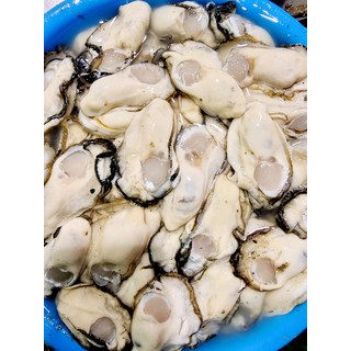 돌고래수산 통영 생굴 깐굴 500g 1kg, 3개