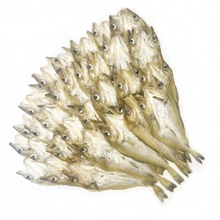 조미대구 편노가리 중, 1개, 1kg