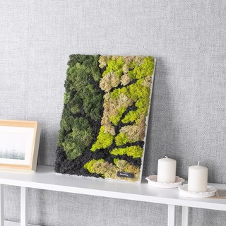 스칸디아모스 공기정화식물 액자 숲사이 set 40cm 인테리어 천연 이끼 벽장식 소품 플랜테리어 벽걸이 현관, 1개
