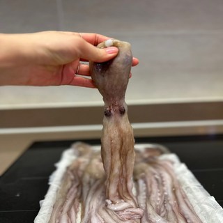 조업 하자마자 급냉한 활 낙지 / 급냉 활낙지 1팩 850g~1kg 6마리, 1개